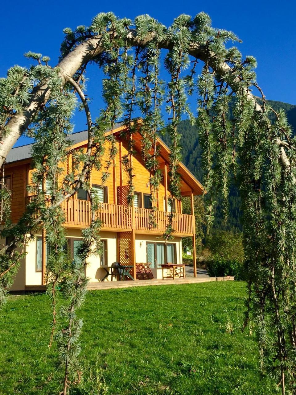 Les Chalets Fleurs De France - Kota Saint-Dalmas Ngoại thất bức ảnh