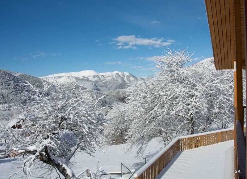 Les Chalets Fleurs De France - Kota Saint-Dalmas Ngoại thất bức ảnh